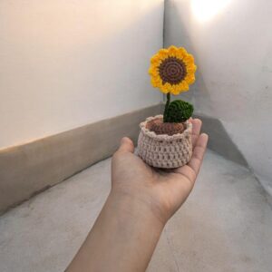 Tiny Sunflower in a Pot